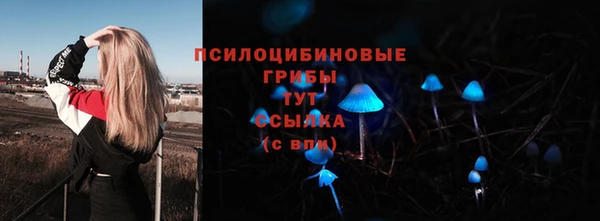 дмт Коряжма