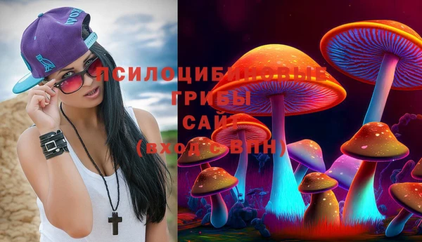 мяу мяу мука Корсаков