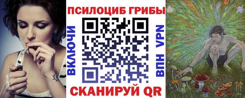 Псилоцибиновые грибы GOLDEN TEACHER  Купить  Мичуринск 