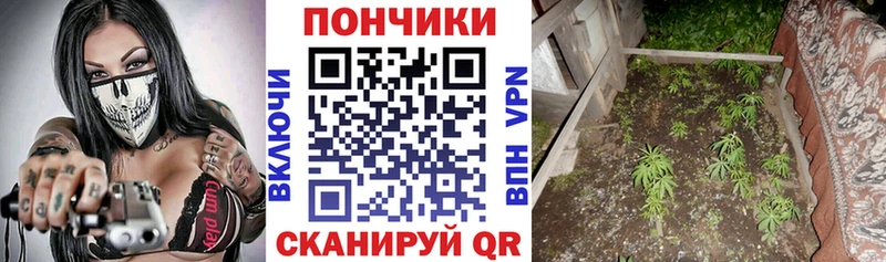 Купить где  Мичуринск  МАРИХУАНА конопля 